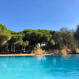Micielo - Baumhaeuser Vejer de la Frontera